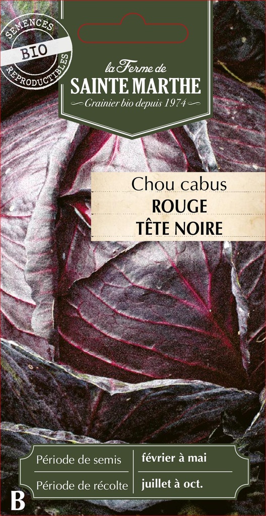 Chou Cabus Rouge Tête Noire 3