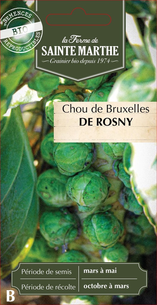 Chou De Bruxelles De Rosny