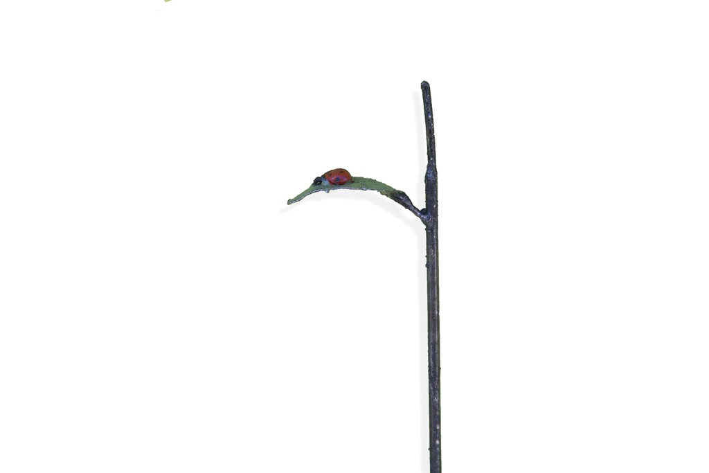 Tuteur Coccinelle Feuille