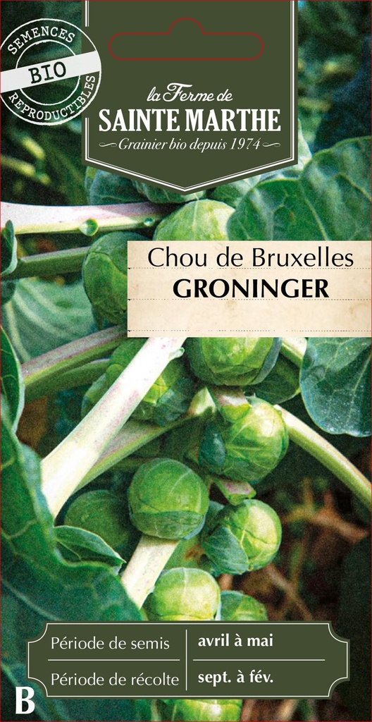 Chou De Bruxelles Groninger