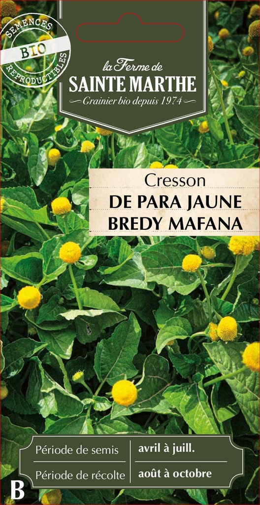 Cresson De Para Jaune Bredy Mafana