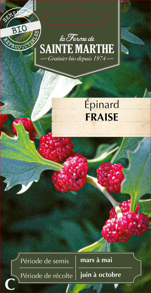 Épinard Fraise