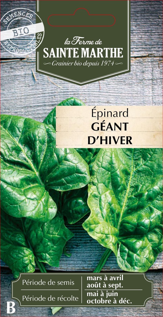 Épinard Géant D'Hiver