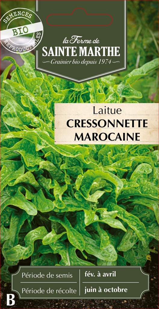 Laitue Cressonnette Marocaine