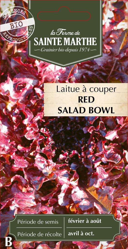 Laitue À Couper Red Salad Bowl