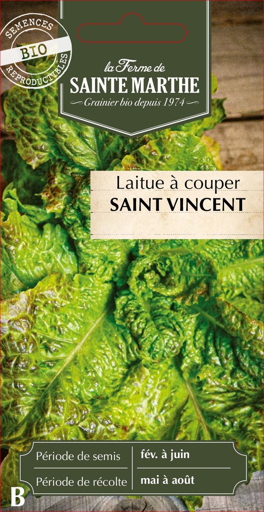 Laitue À Couper Saint Vincent