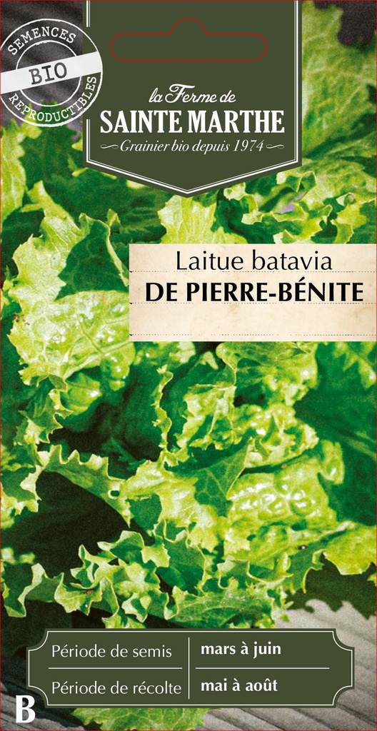 Laitue Batavia De Pierre-Bénite