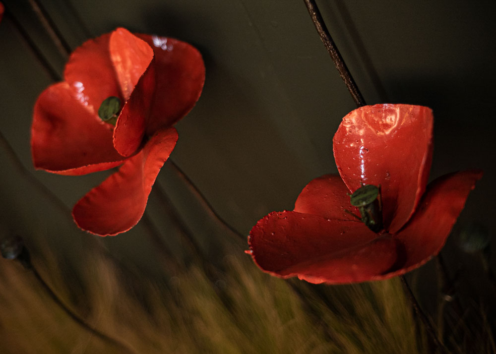 Coquelicot Rouge & Bout Moyen