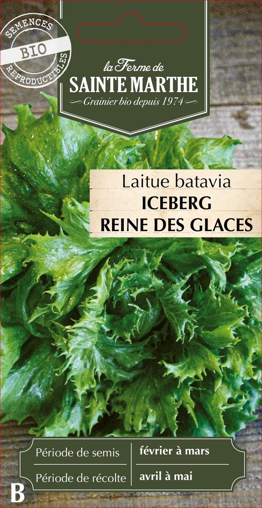 Laitue Batavia Iceberg Reine Des Glaces