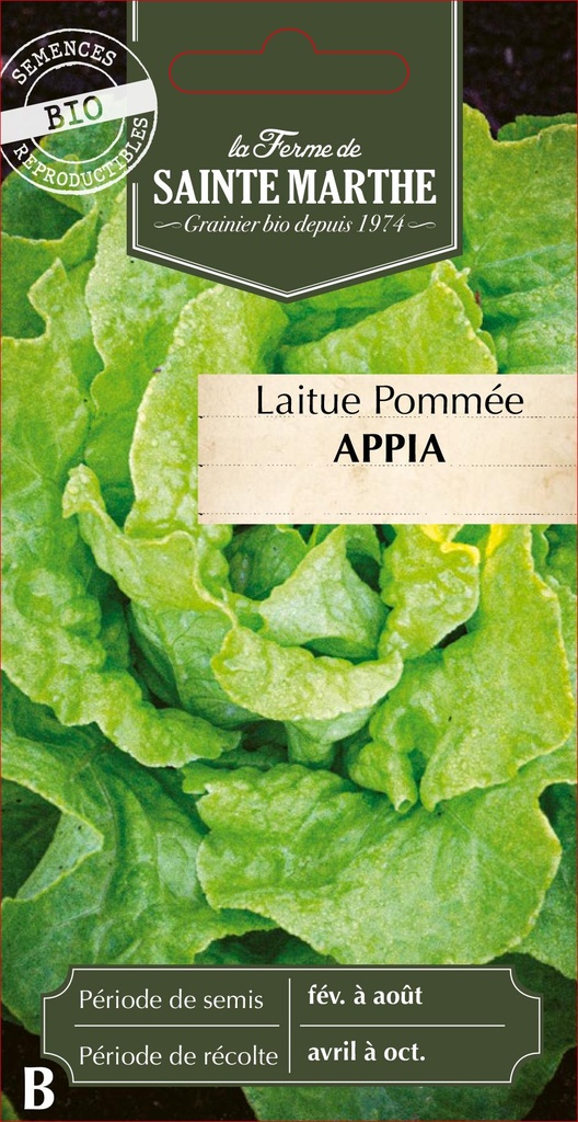 Laitue Pommée Appia