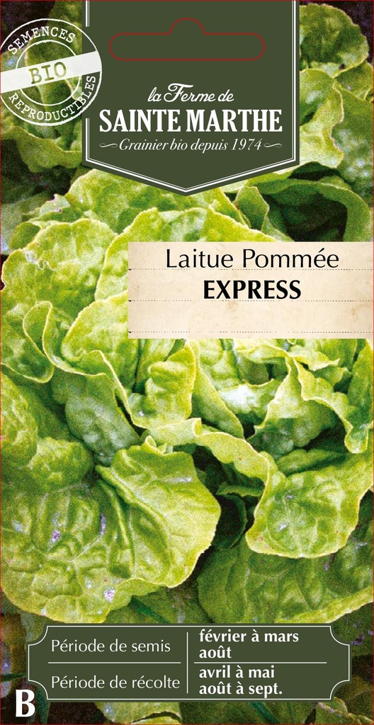 Laitue Pommée Express