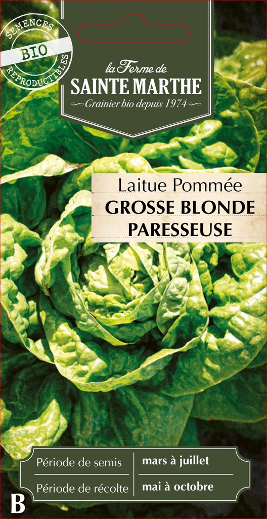 Laitue Pommée Grosse Blonde Paresseuse