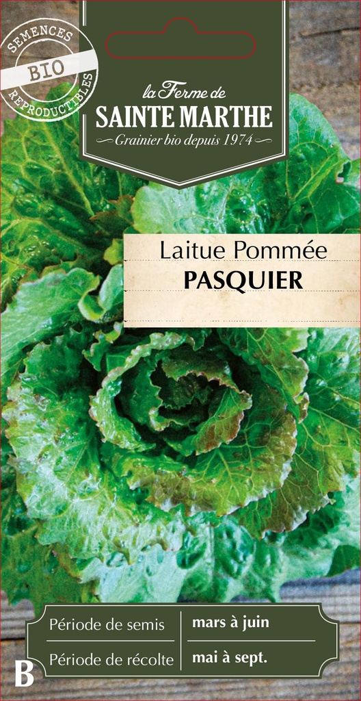 Laitue Pommée Pasquier
