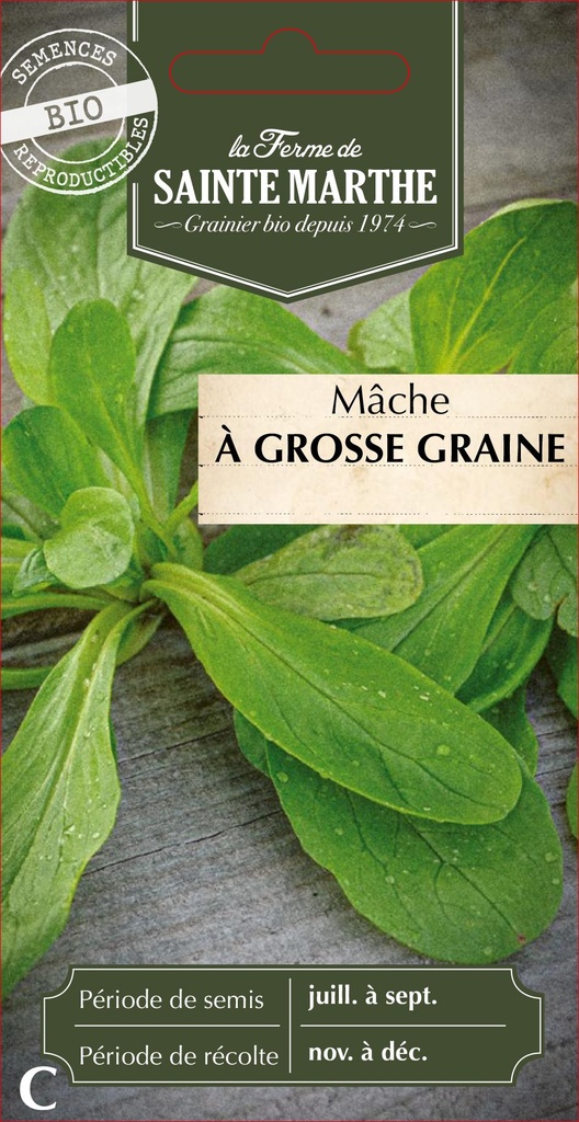 Mâche À Grosse Graine