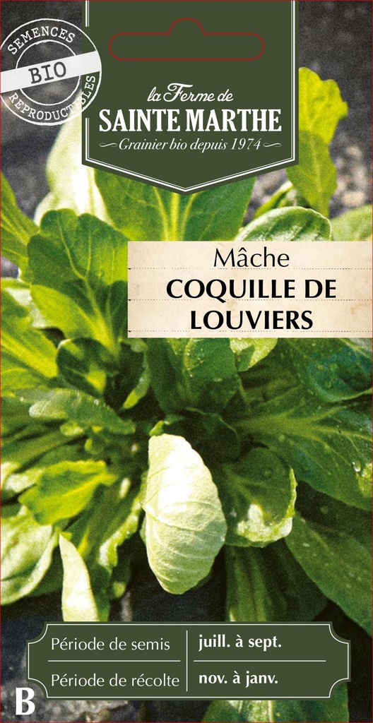 Mâche Coquille De Louviers