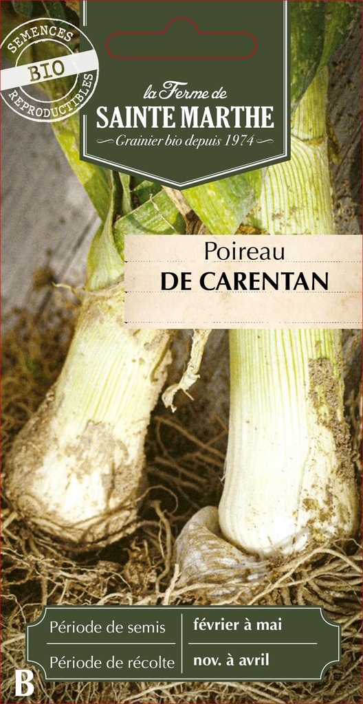Poireau De Carentan 2