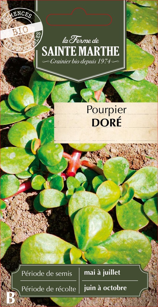 Pourpier Doré