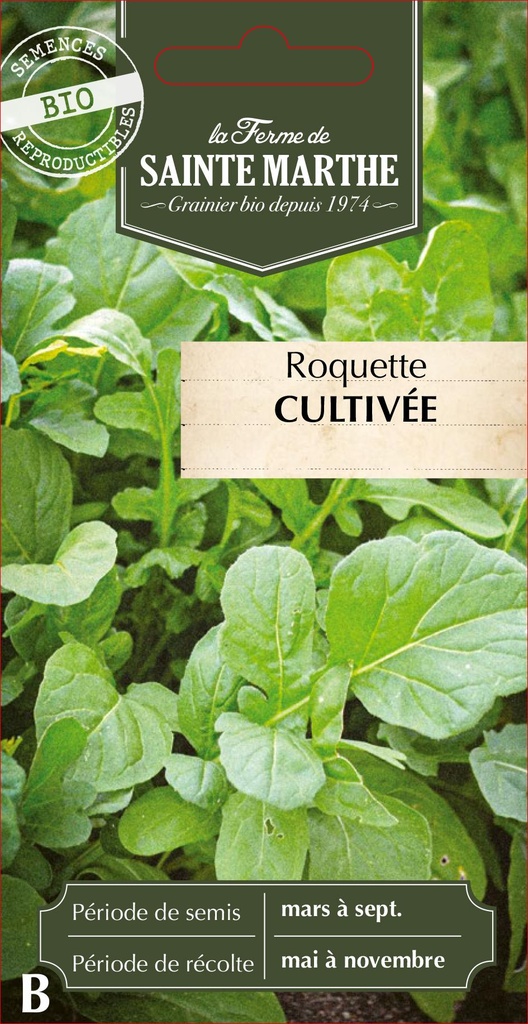 Roquette Cultivée