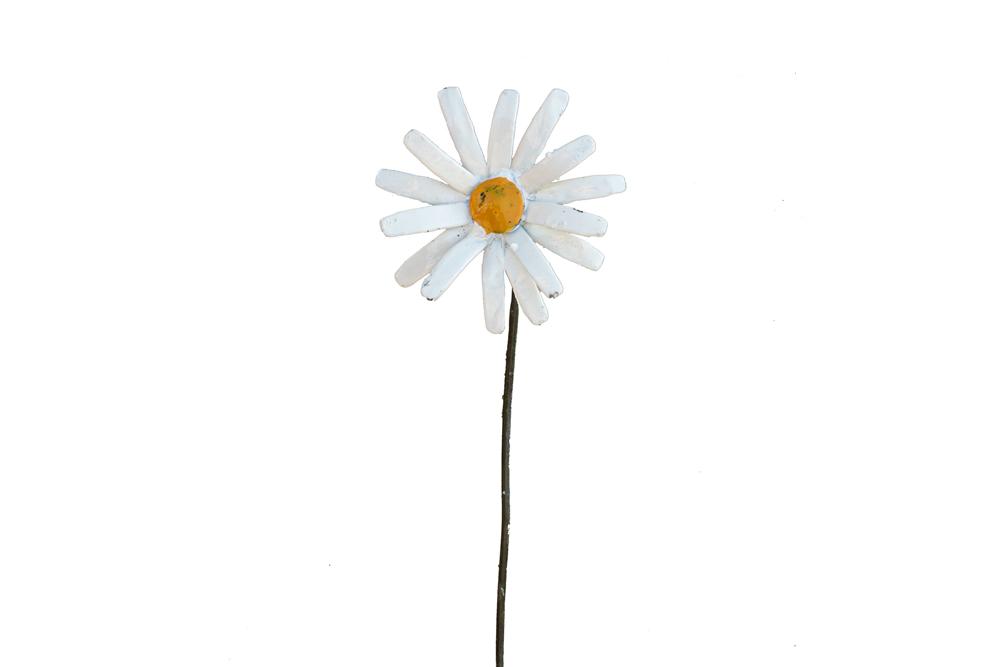 Marguerite