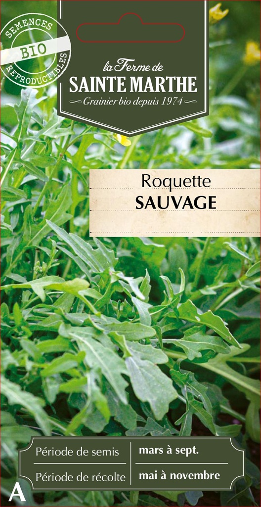 Roquette Sauvage