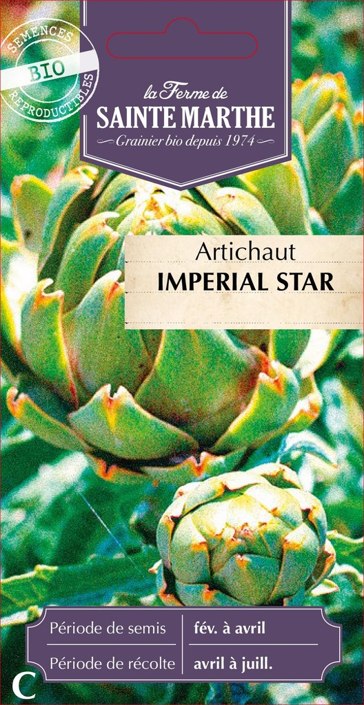 Artichaut Imperial Star
