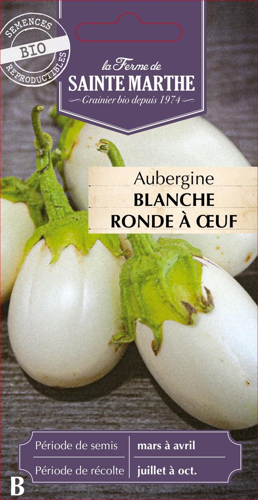 Aubergine Blanche Ronde À Œuf