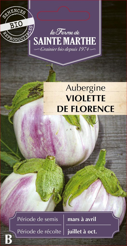 Aubergine Violette De Florence