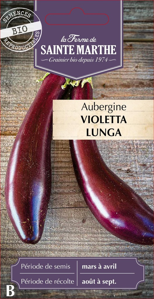Aubergine Violetta Lunga 3