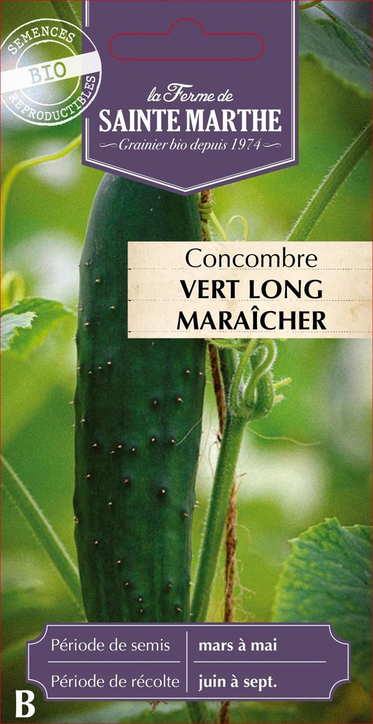 Concombre Vert Long Maraîcher