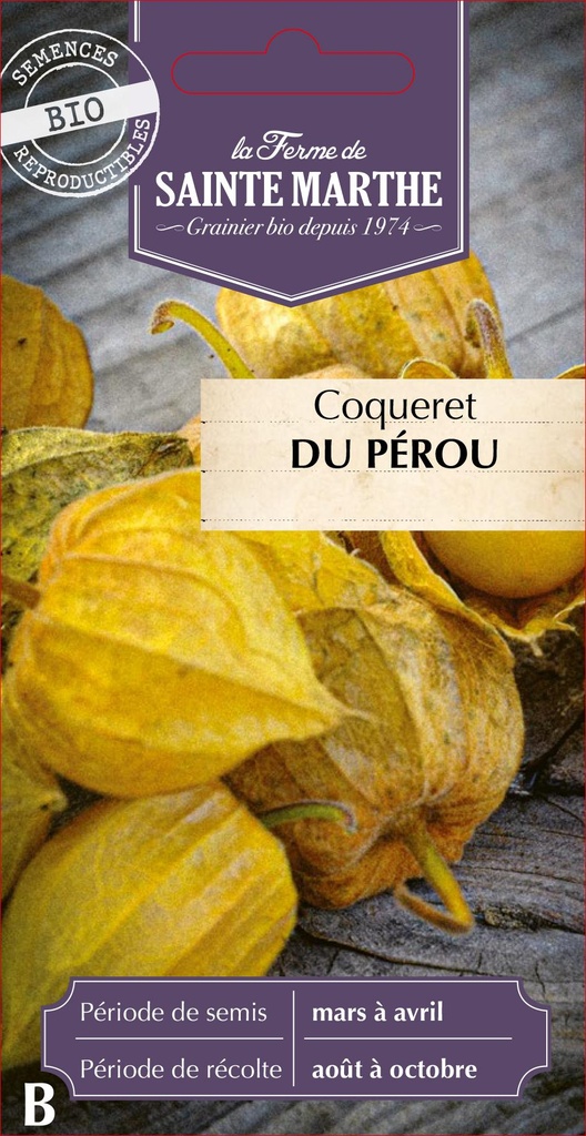 Coqueret Du Pérou