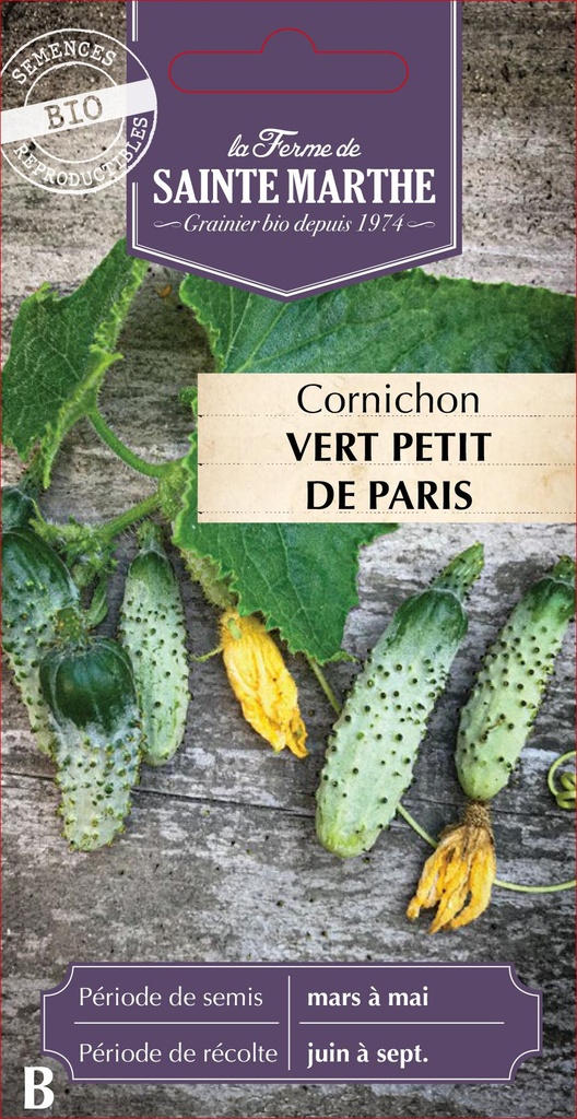 Cornichon Vert Petit De Paris