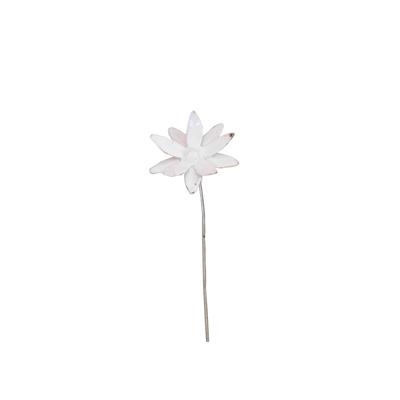 Nigelle De Damas