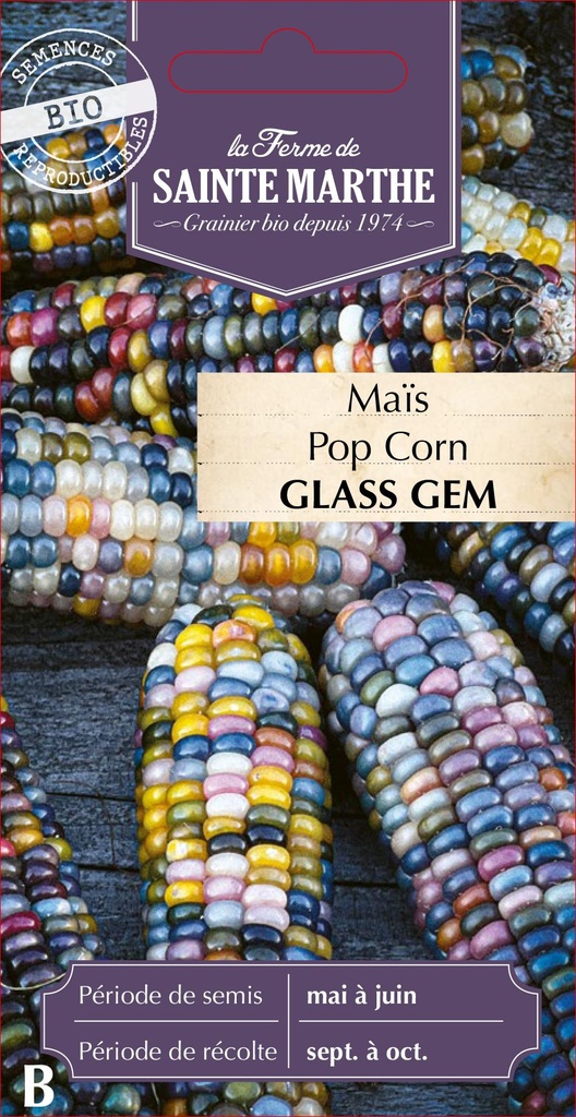 Maïs Pop Corn Glass Gem
