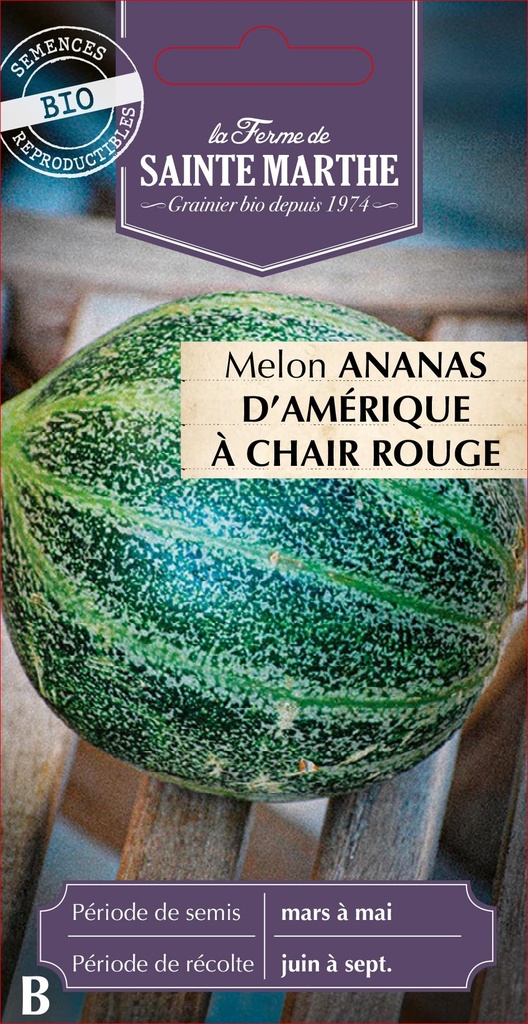Melon Ananas D'Amérique À Chair Rouge