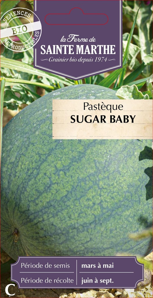 Pastèque Sugar Baby
