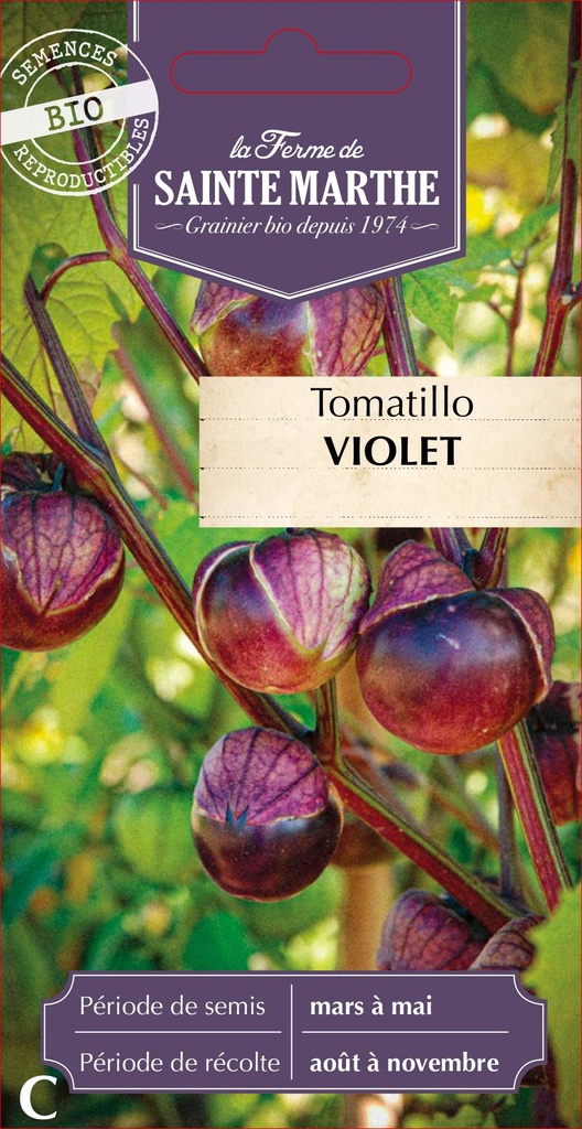 Tomatillo Violet