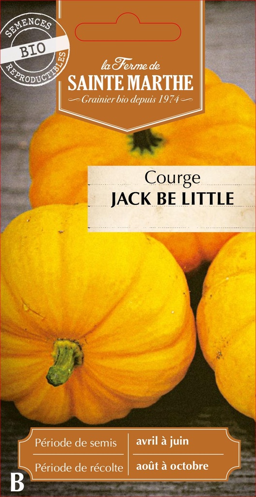 Courge Jack Be Little