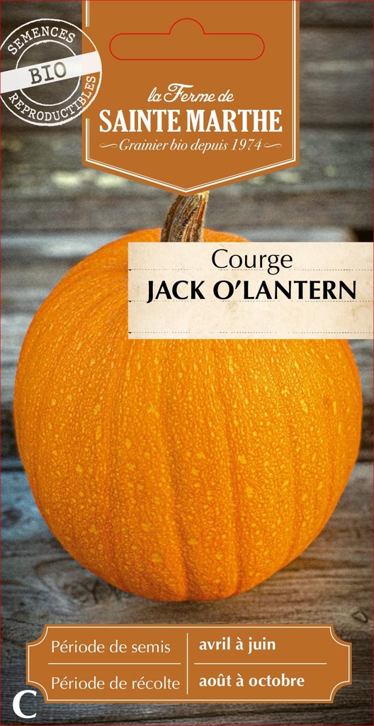 Courge Jack O'Lantern