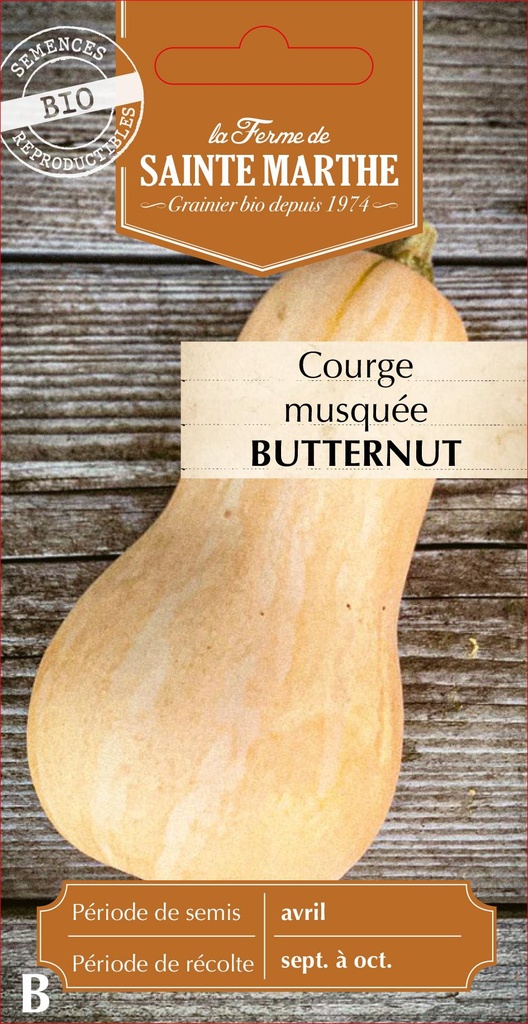 Courge Musquée Butternut