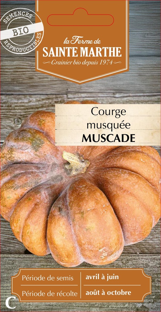Courge Musquée Muscade