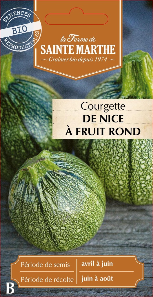 Courgette De Nice À Fruit Rond