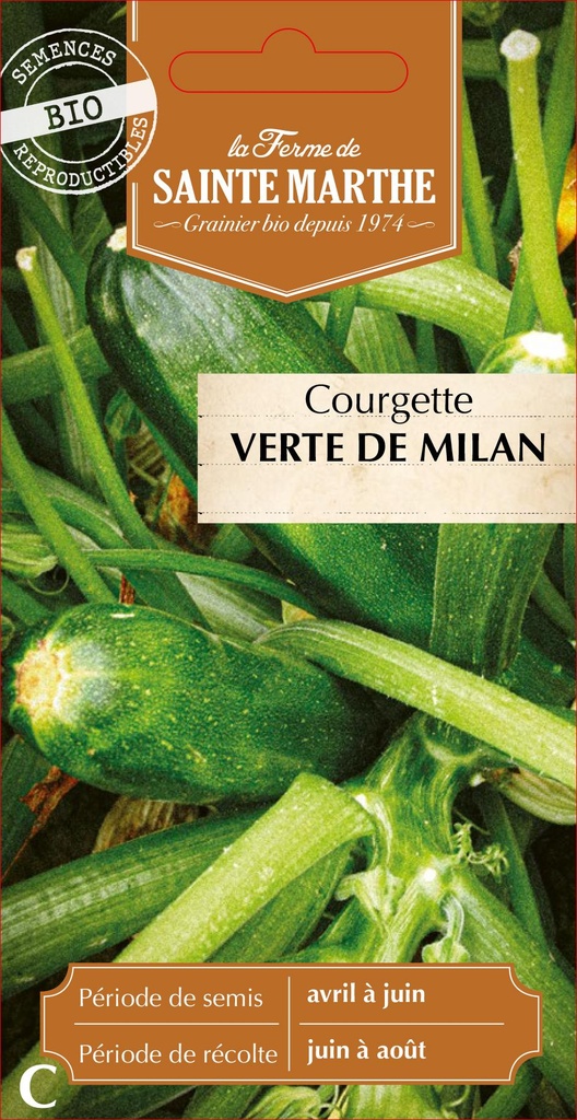 Courgette Verte De Milan