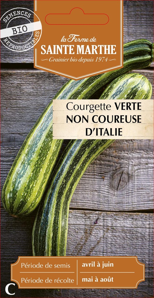 Courgette Verte Non Coureuse D'Italie