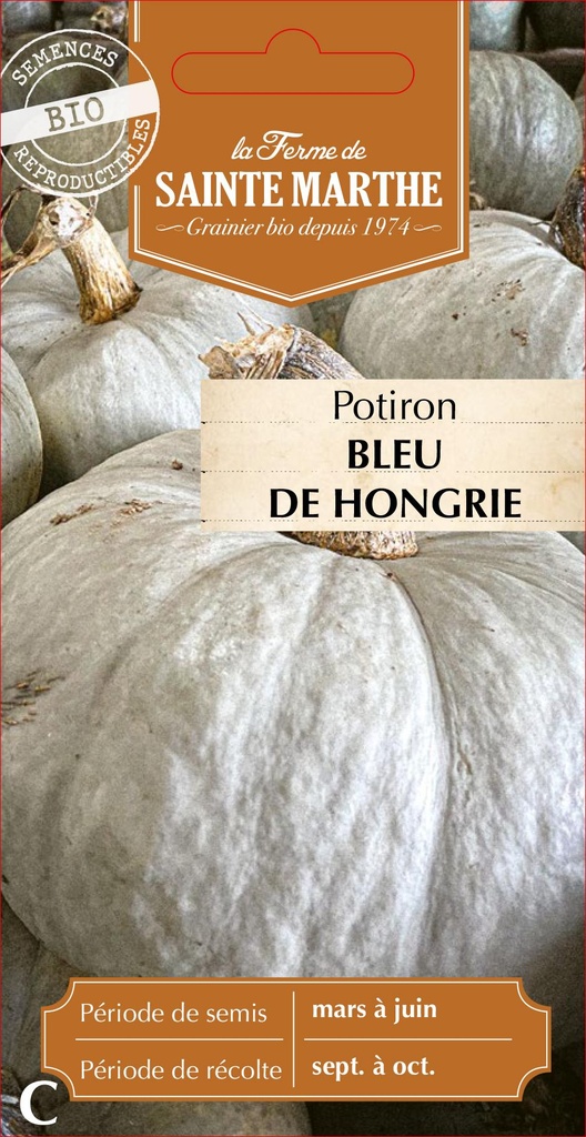 Potiron Bleu De Hongrie