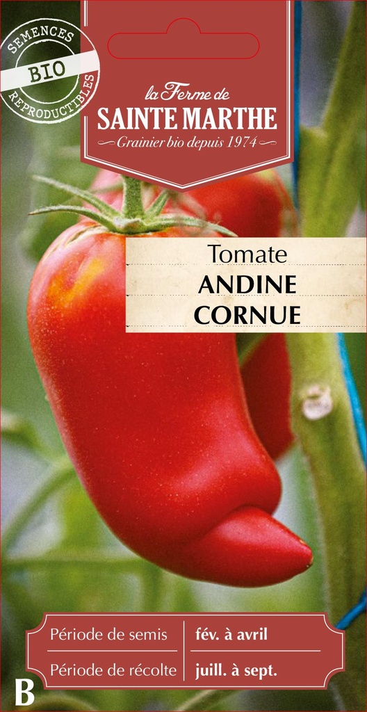 Tomate Andine Cornue