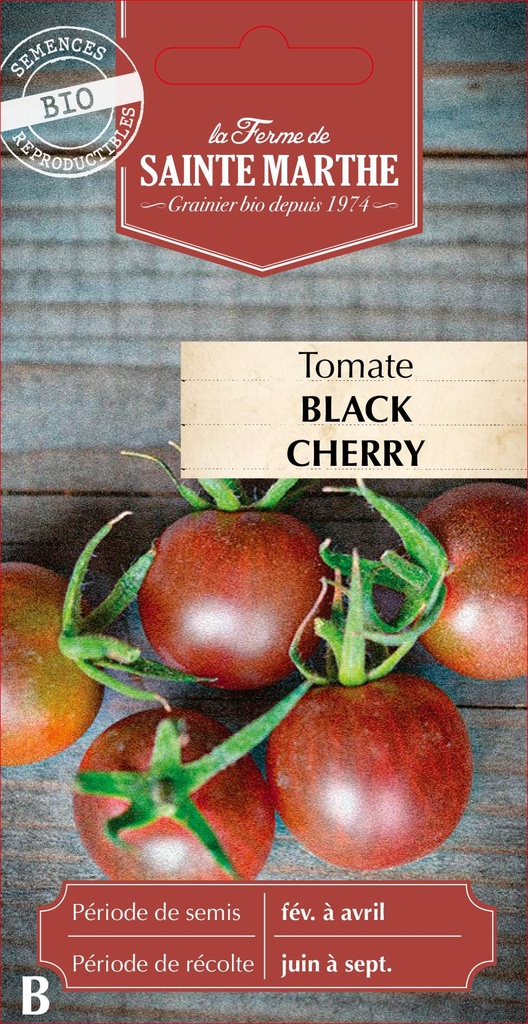 Tomate Black Cherry