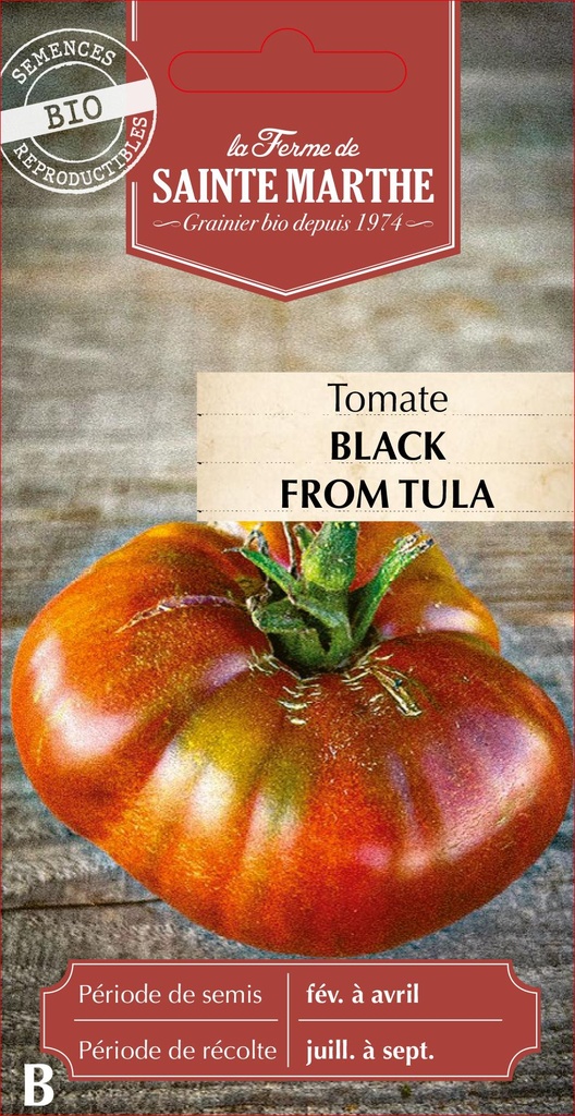 Tomate Black From Tula