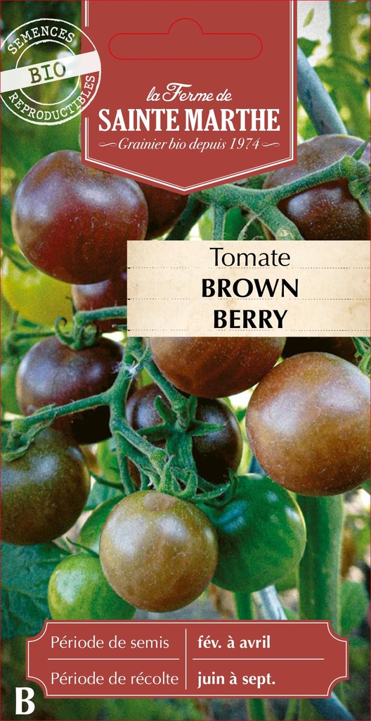 Tomate Brown Berry