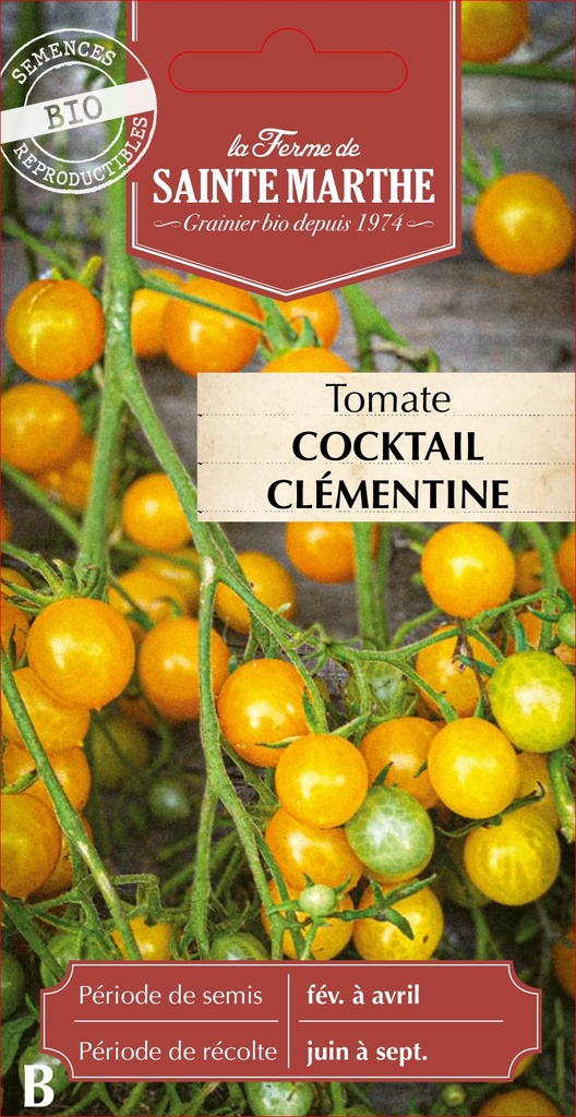 Tomate Cocktail Clementine