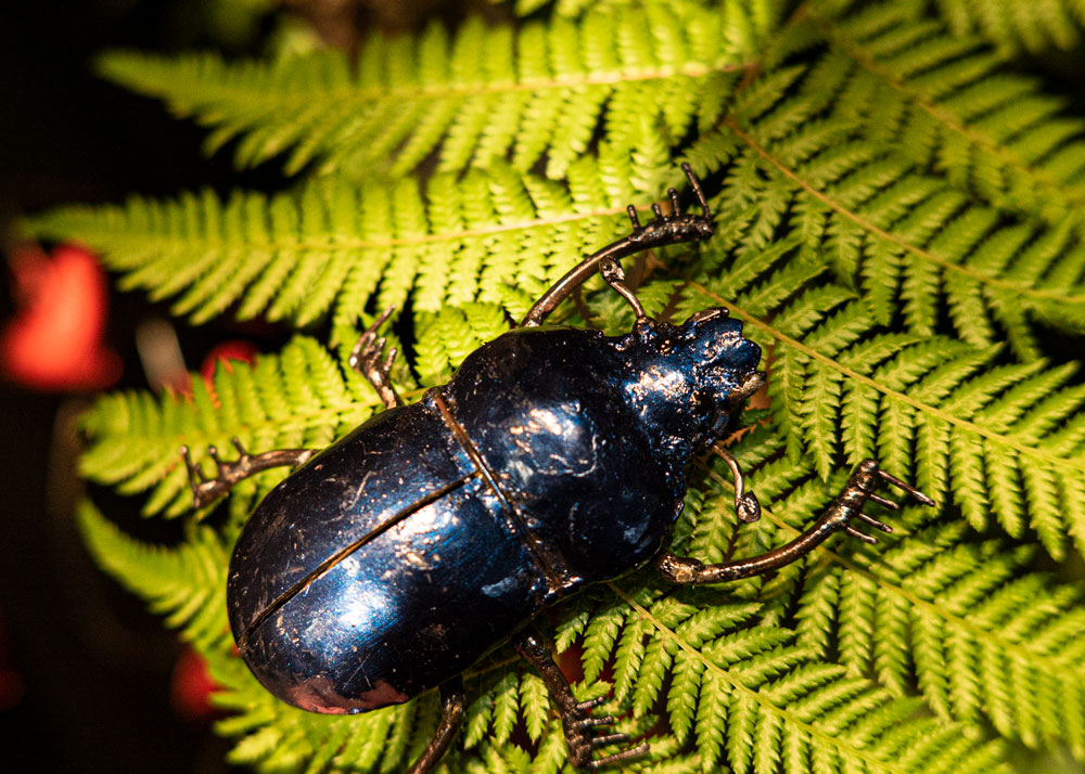 Scarabée Bleu